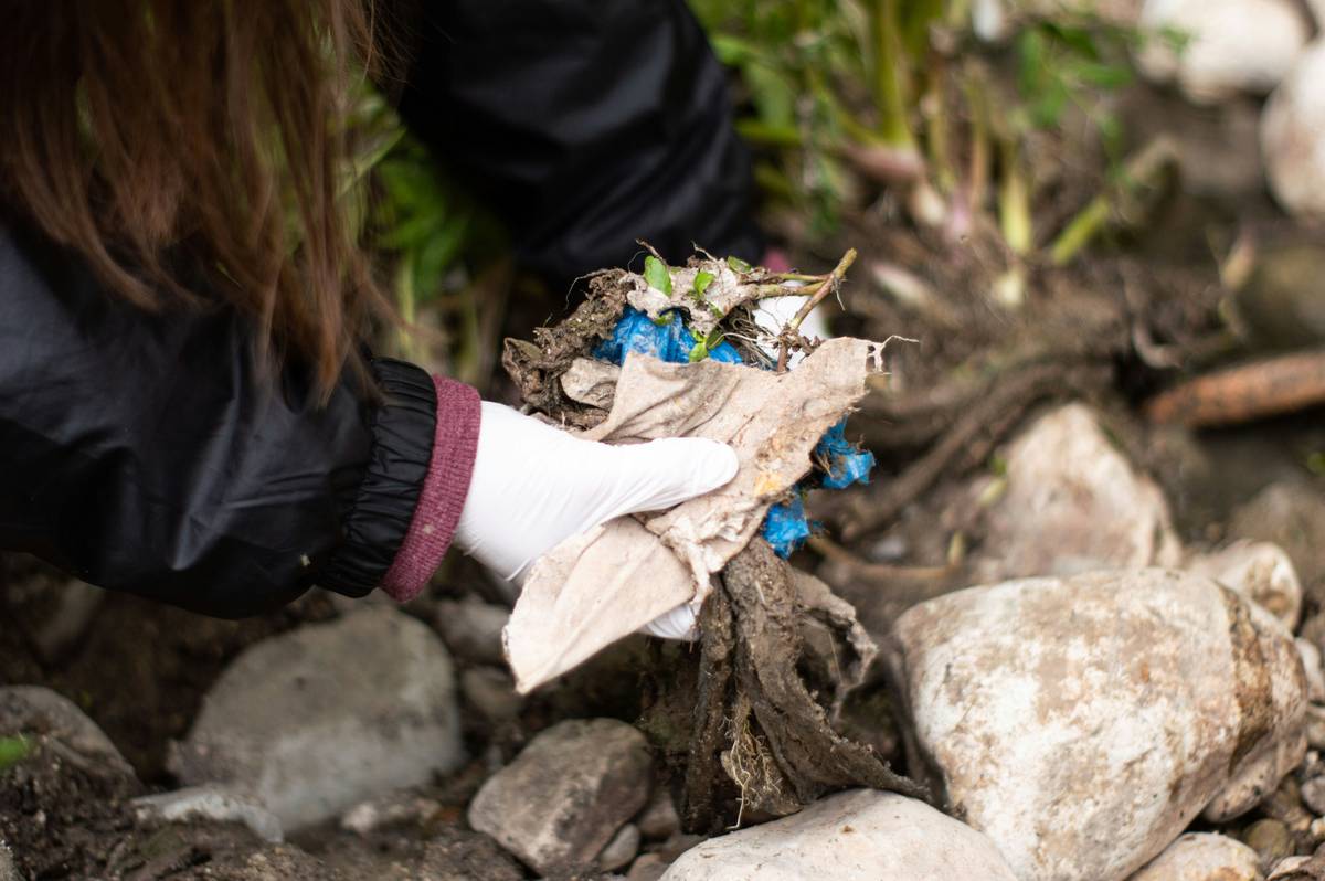 Are Biodegradable Plastic Gloves the Eco Hero We’ve Been Waiting For? (Spoiler: It’s Complicated)