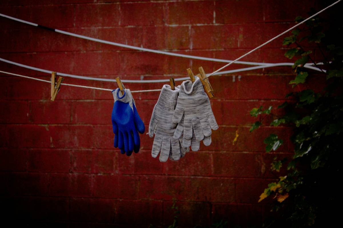 Why diaguru biodegradable gloves Are the Future of Eco-Conscious Cleaning